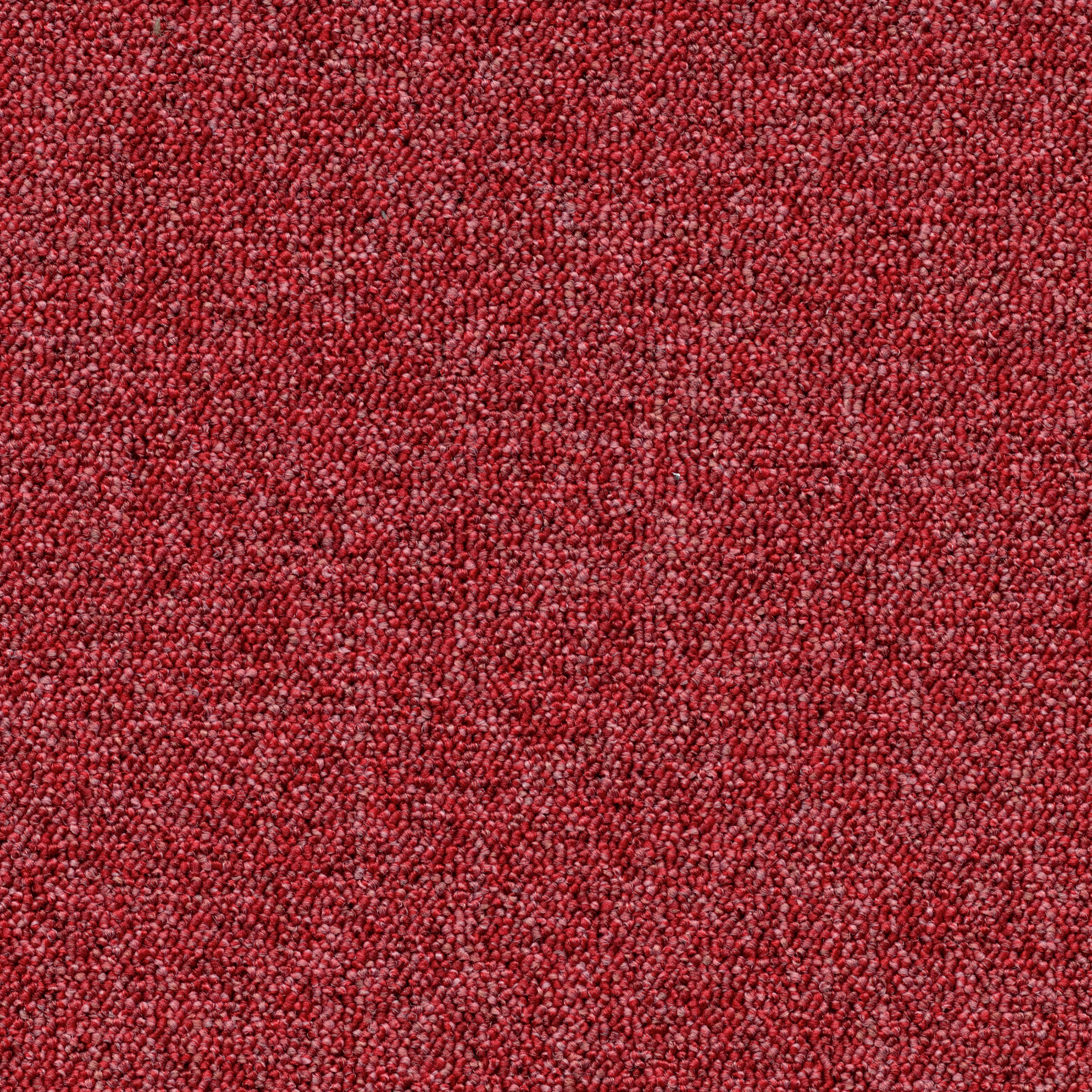 Tessera Teviot red