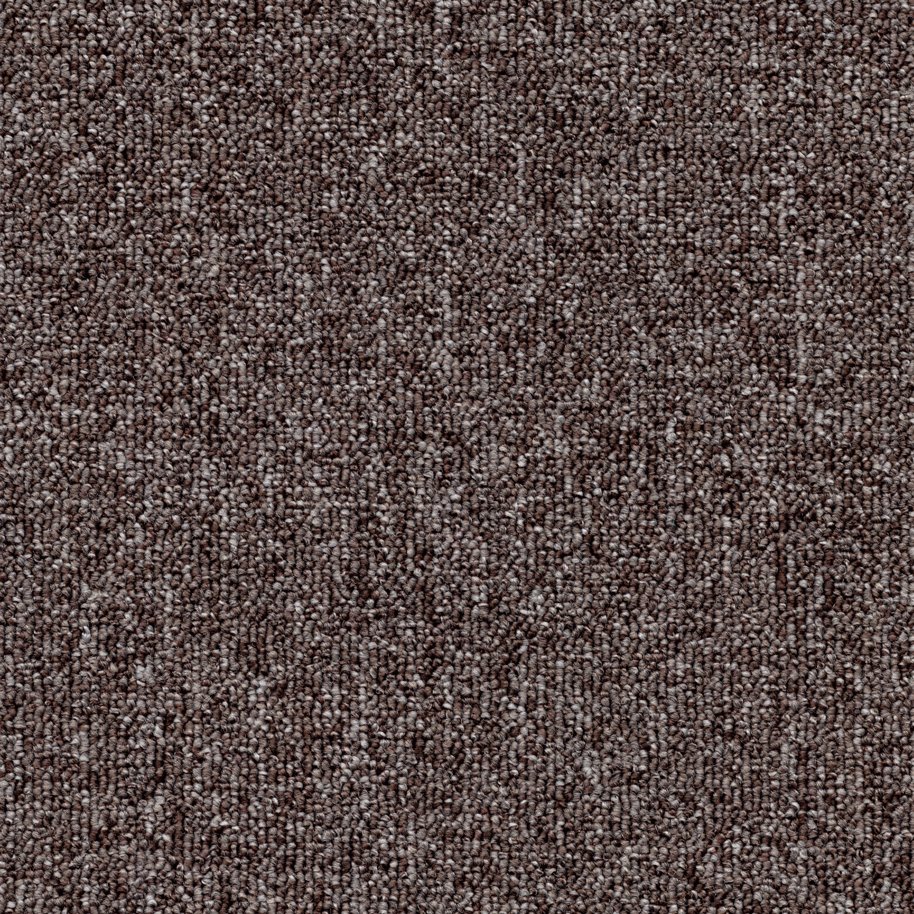 Tessera Teviot brown