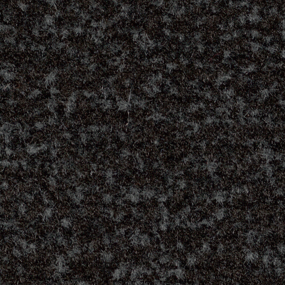 Coral Classic raven black