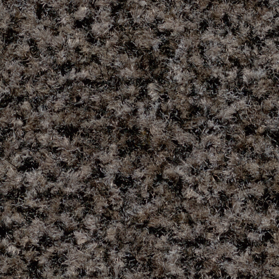 Coral Brush Pure shark grey