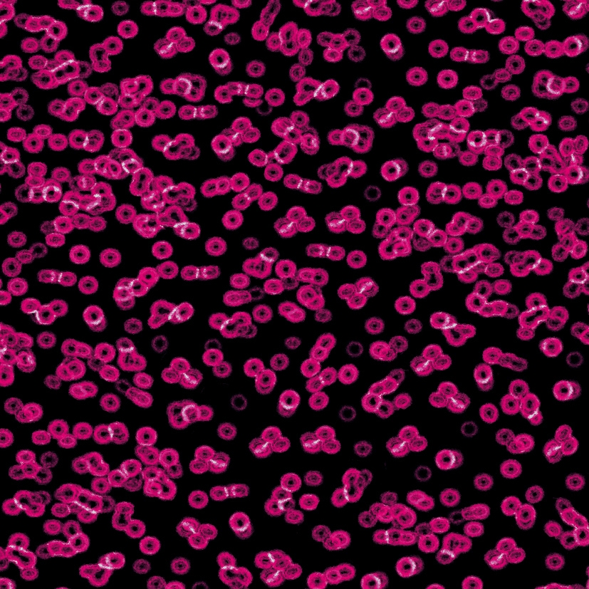 Mostrar el producto Flotex Sottsass | Bacteria 990101 del fabricante Forbo Flooring