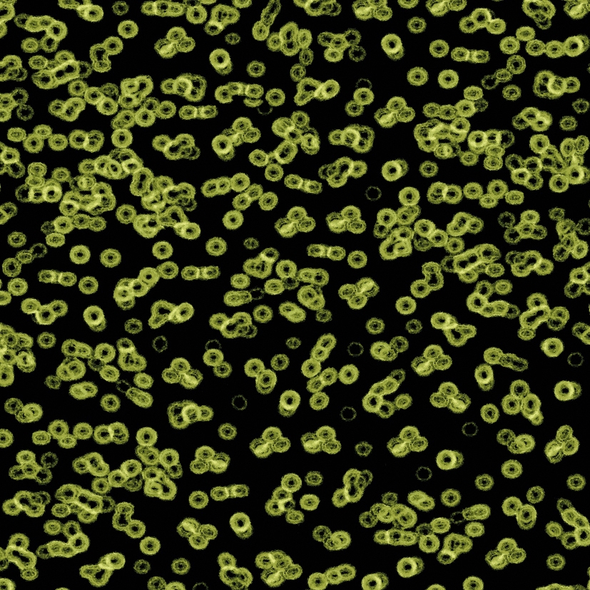 Flotex Sottsass | Bacteria 990103