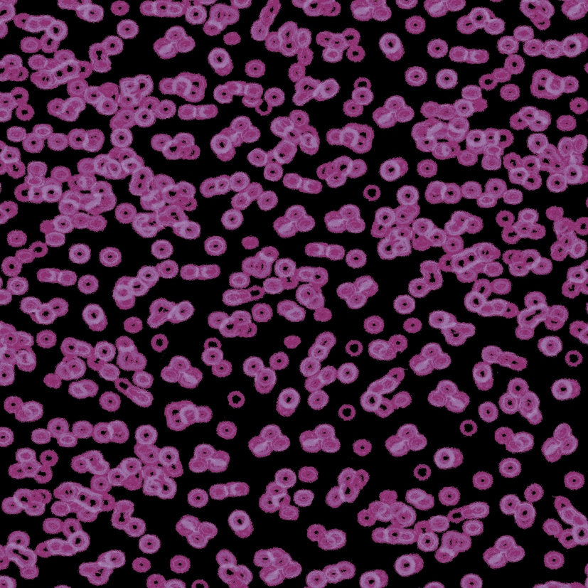 Flotex Sottsass | Bacteria 990104