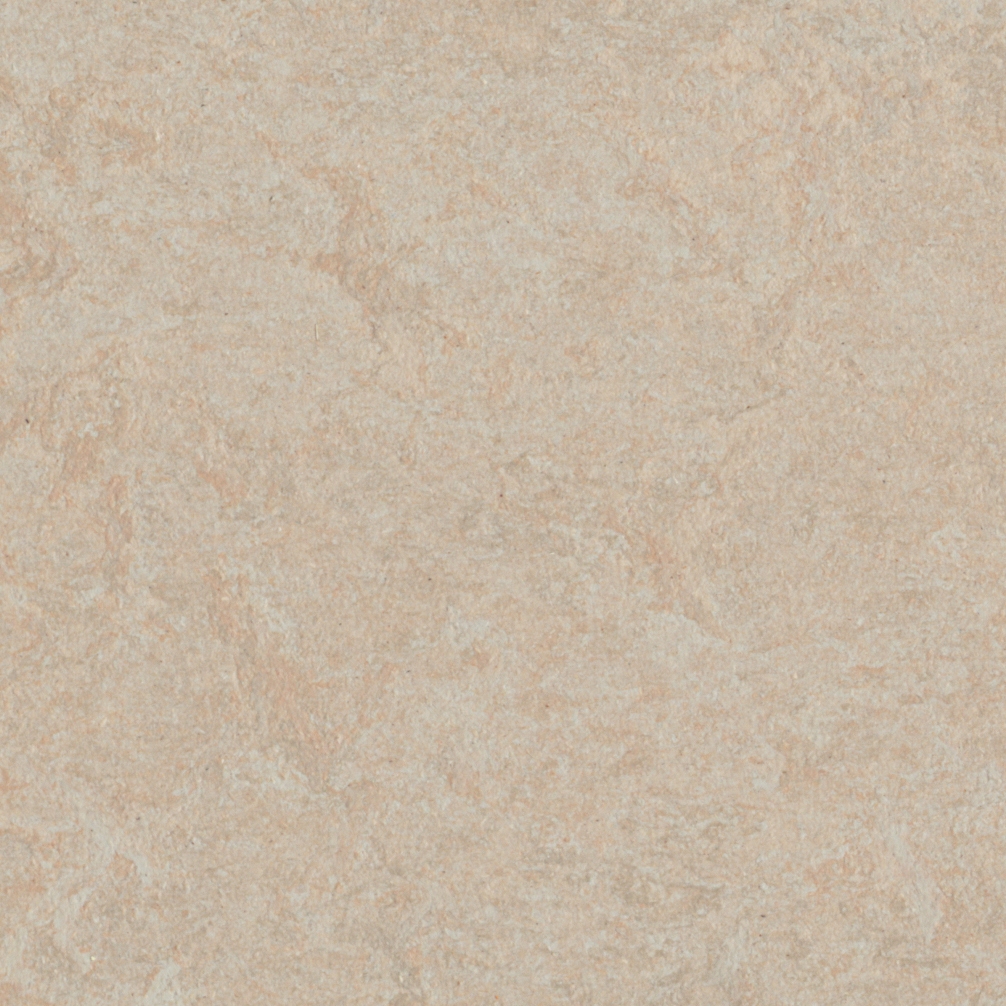 Marmoleum Fresco silver birch