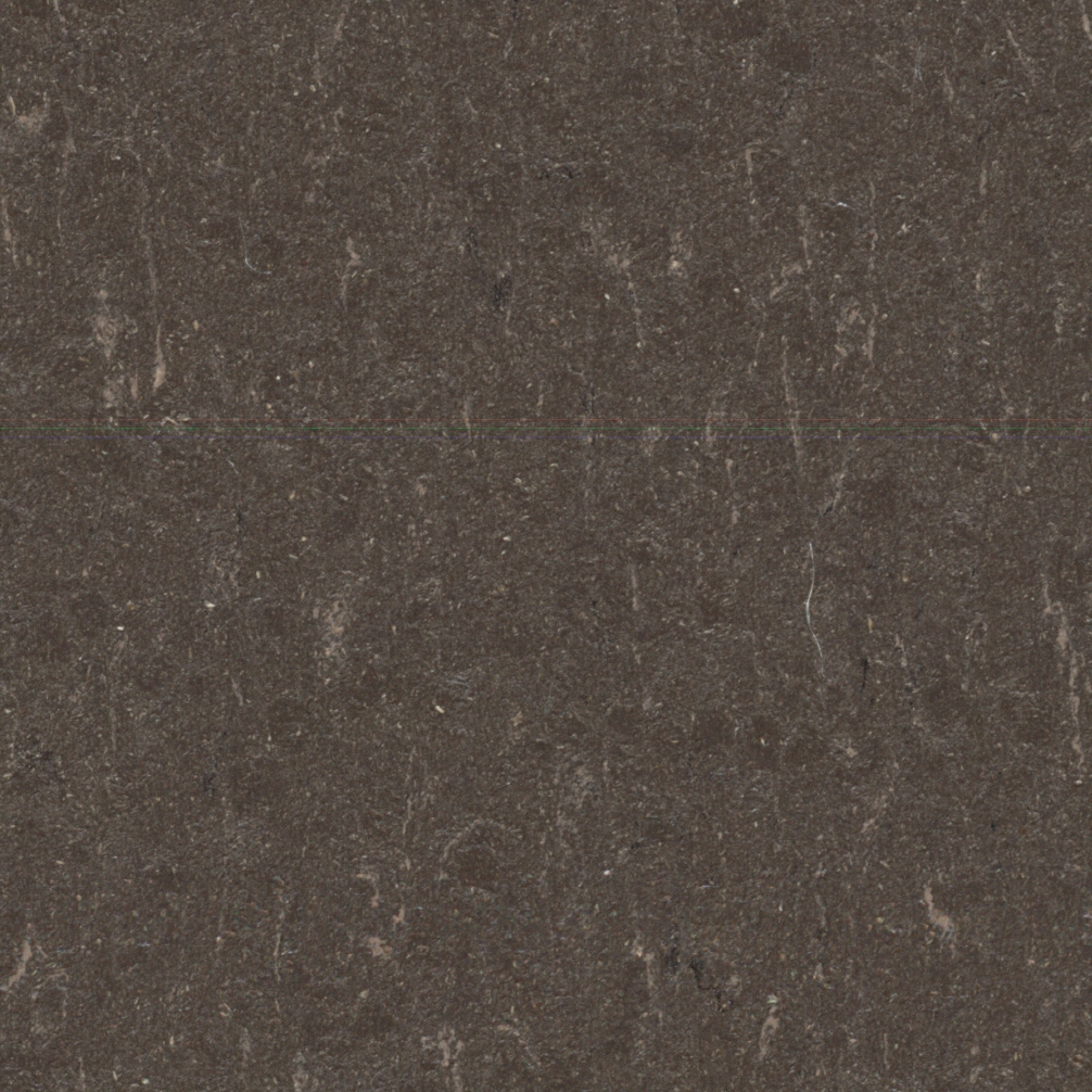 Marmoleum Piano sealion