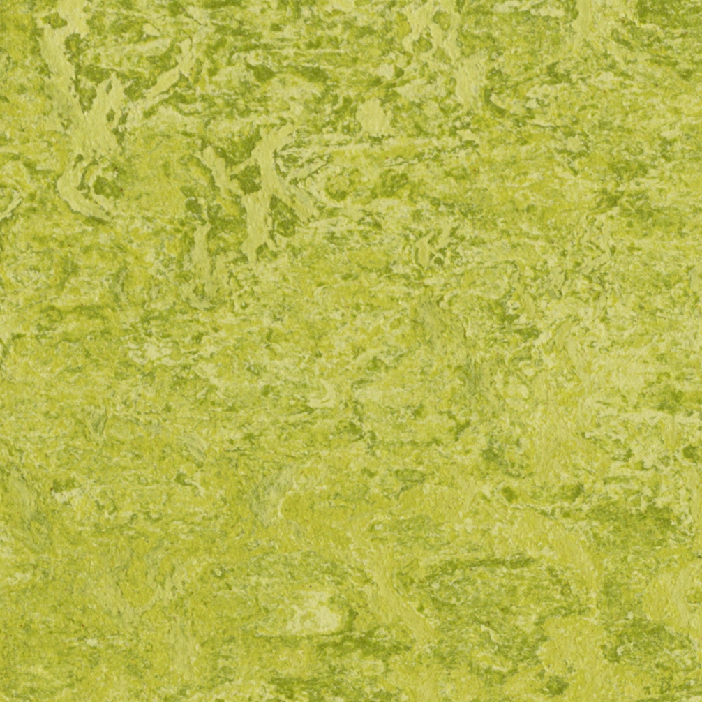Display product Marmoleum Real chartreuse from manufacturer Forbo Flooring