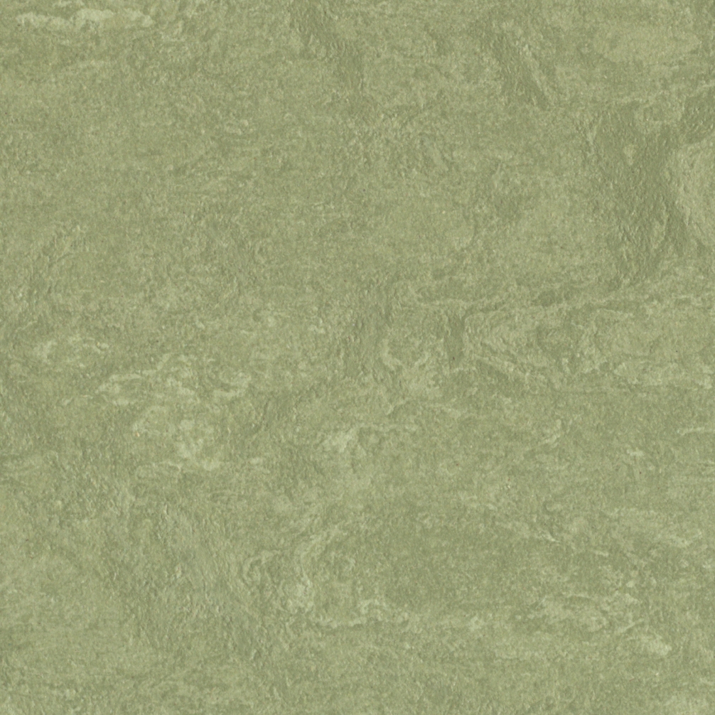 Marmoleum Real willow