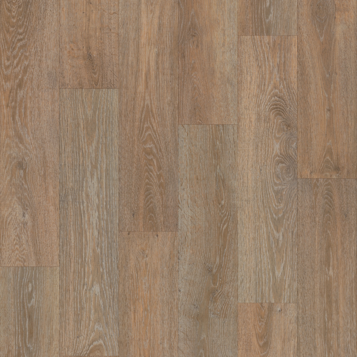 Eternal Design | Wood peruse oak