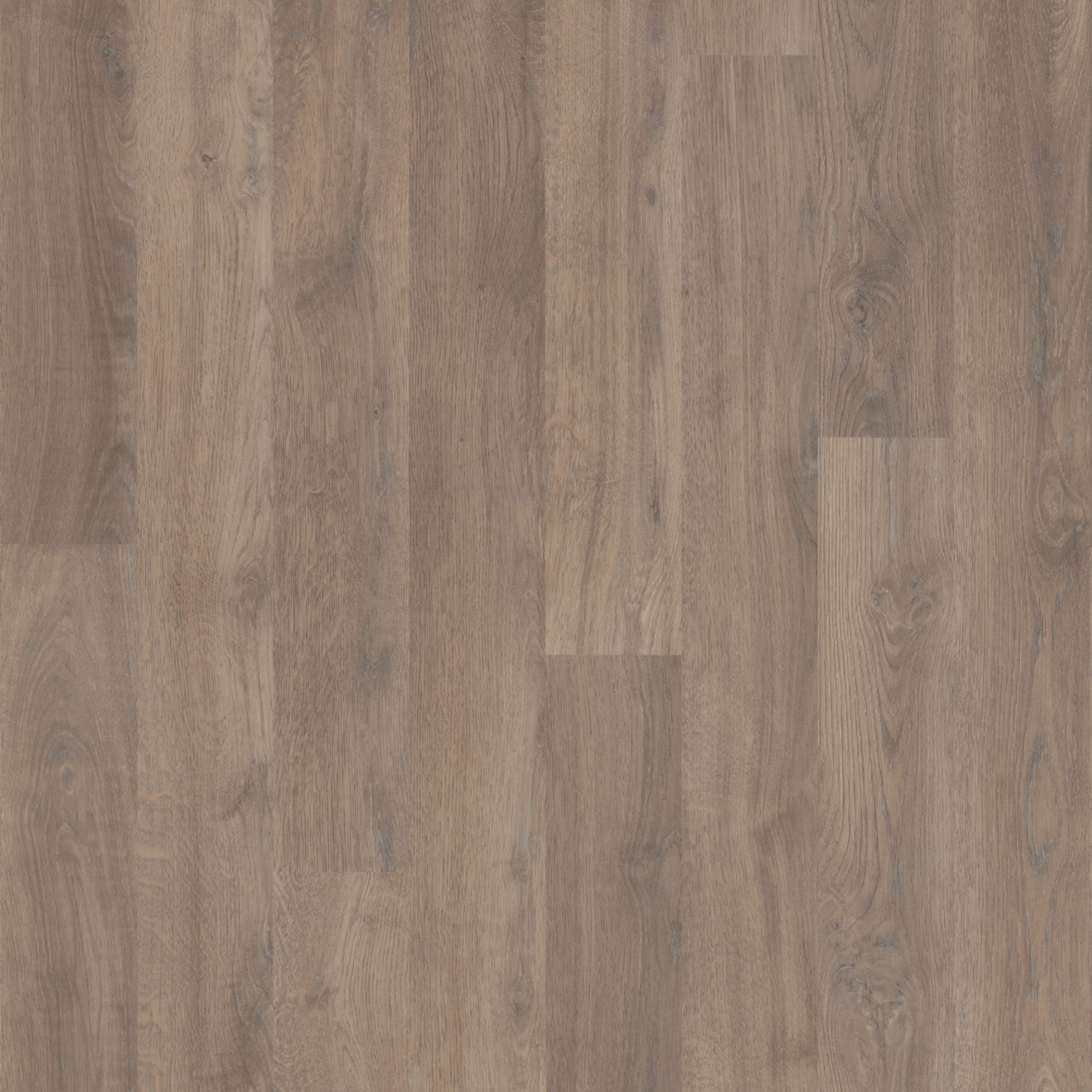 Eternal Design | Wood steamed oak