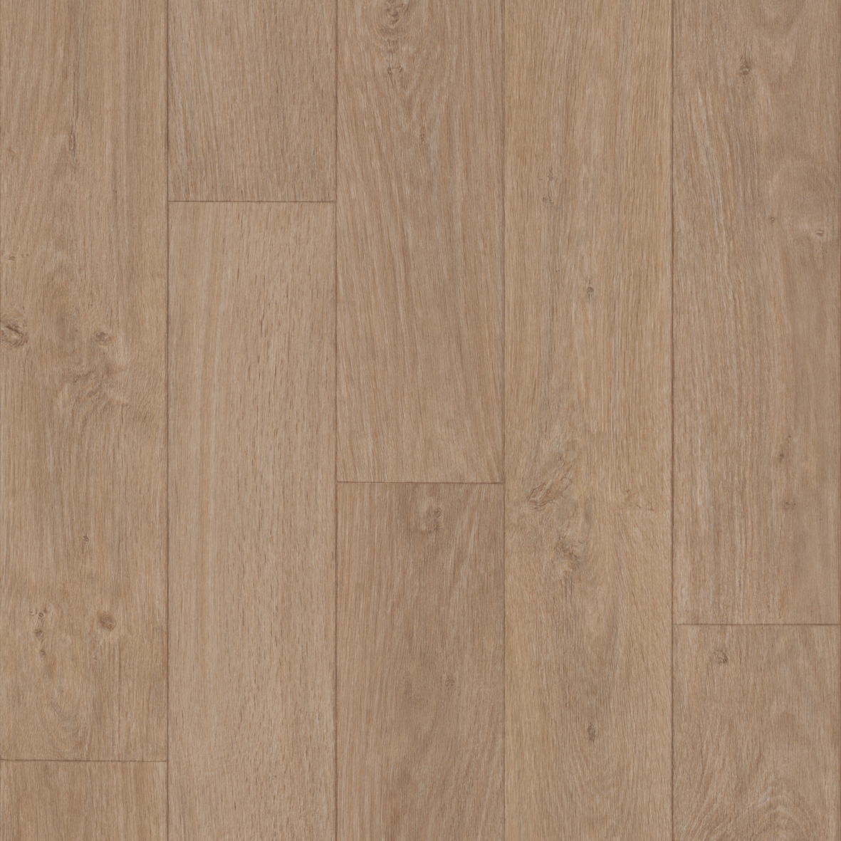 Eternal Design | Wood natural oak