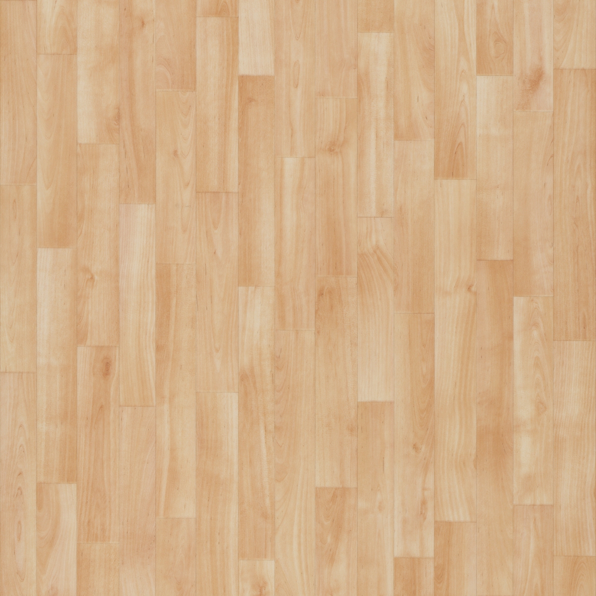 Eternal Original light beech