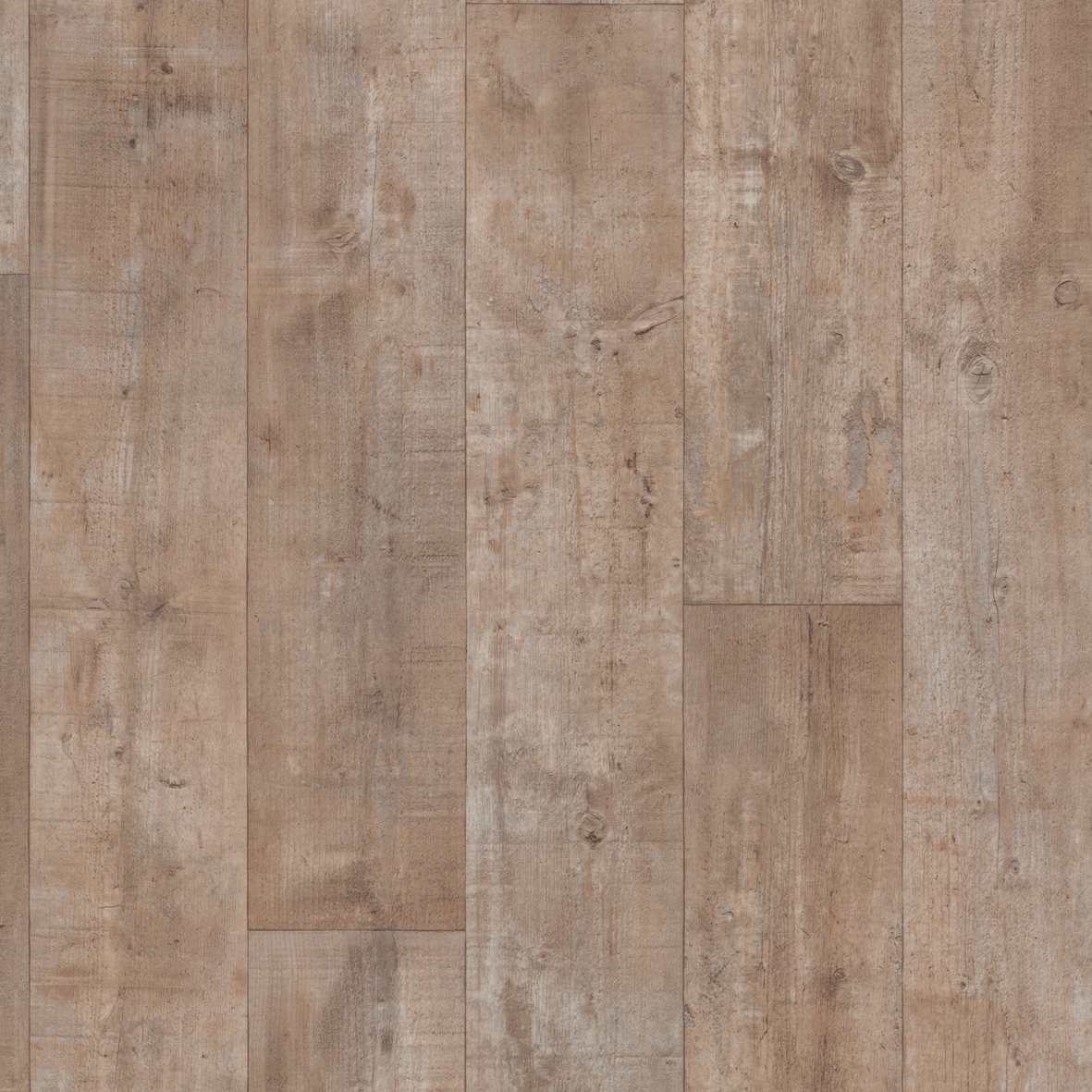 Eternal Design | Wood natural pine