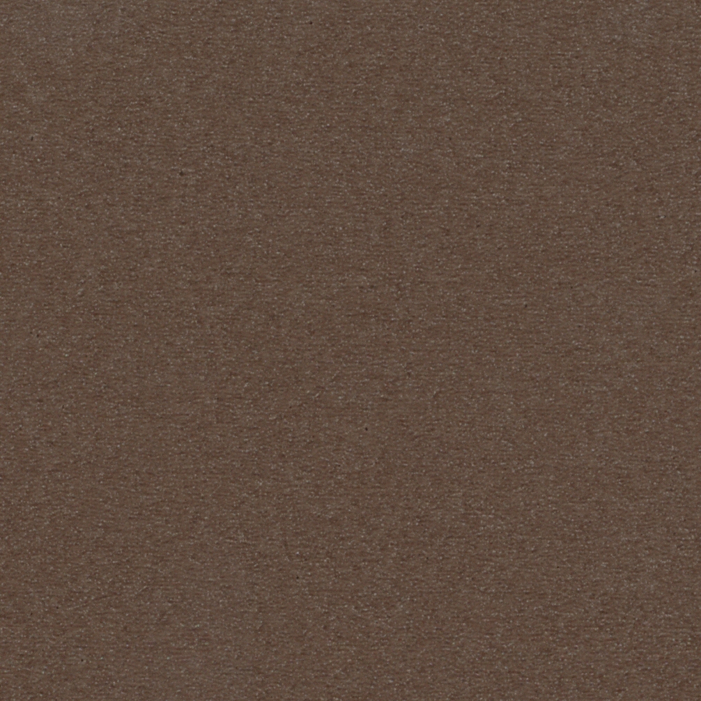 Sarlon Acoustic