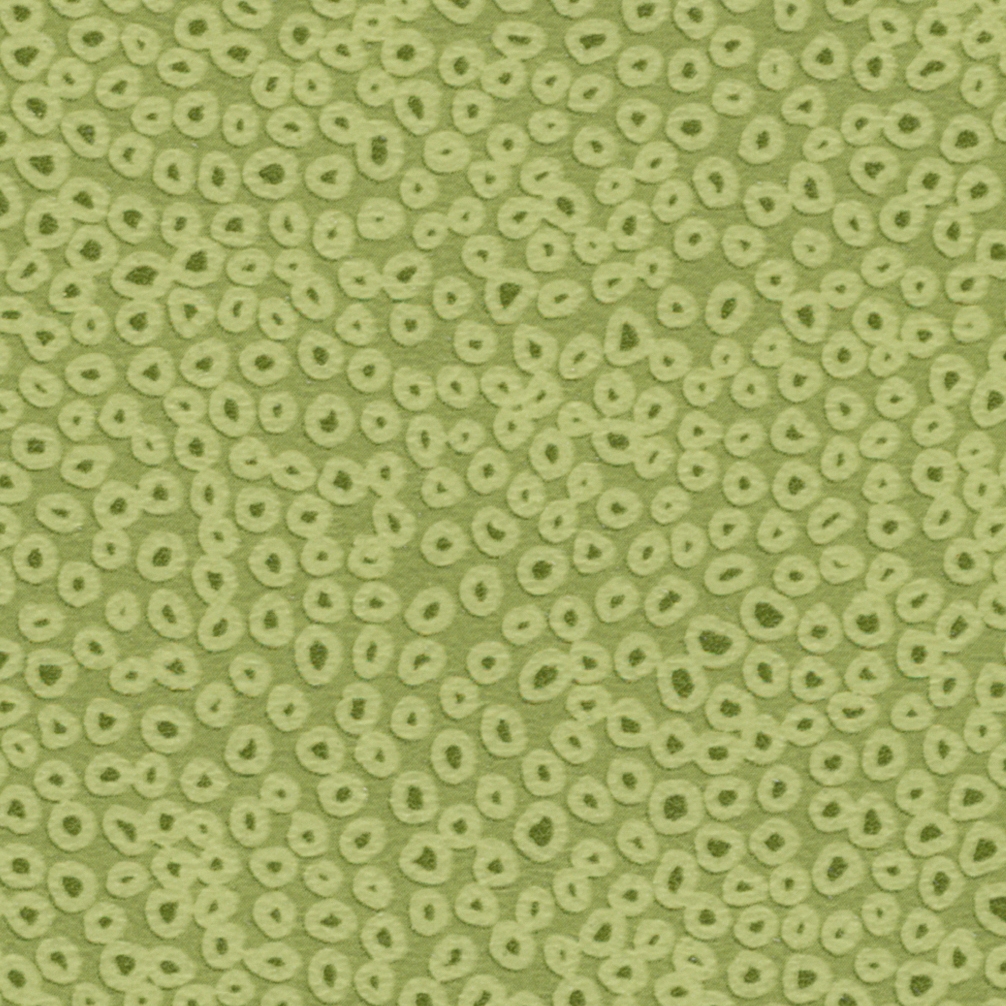 Sarlon Sparkling lime dark