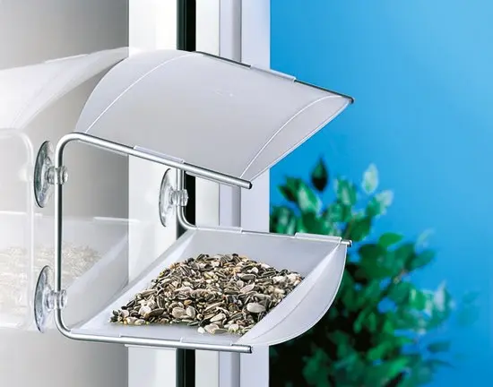 Radius Design - piepshow transparent