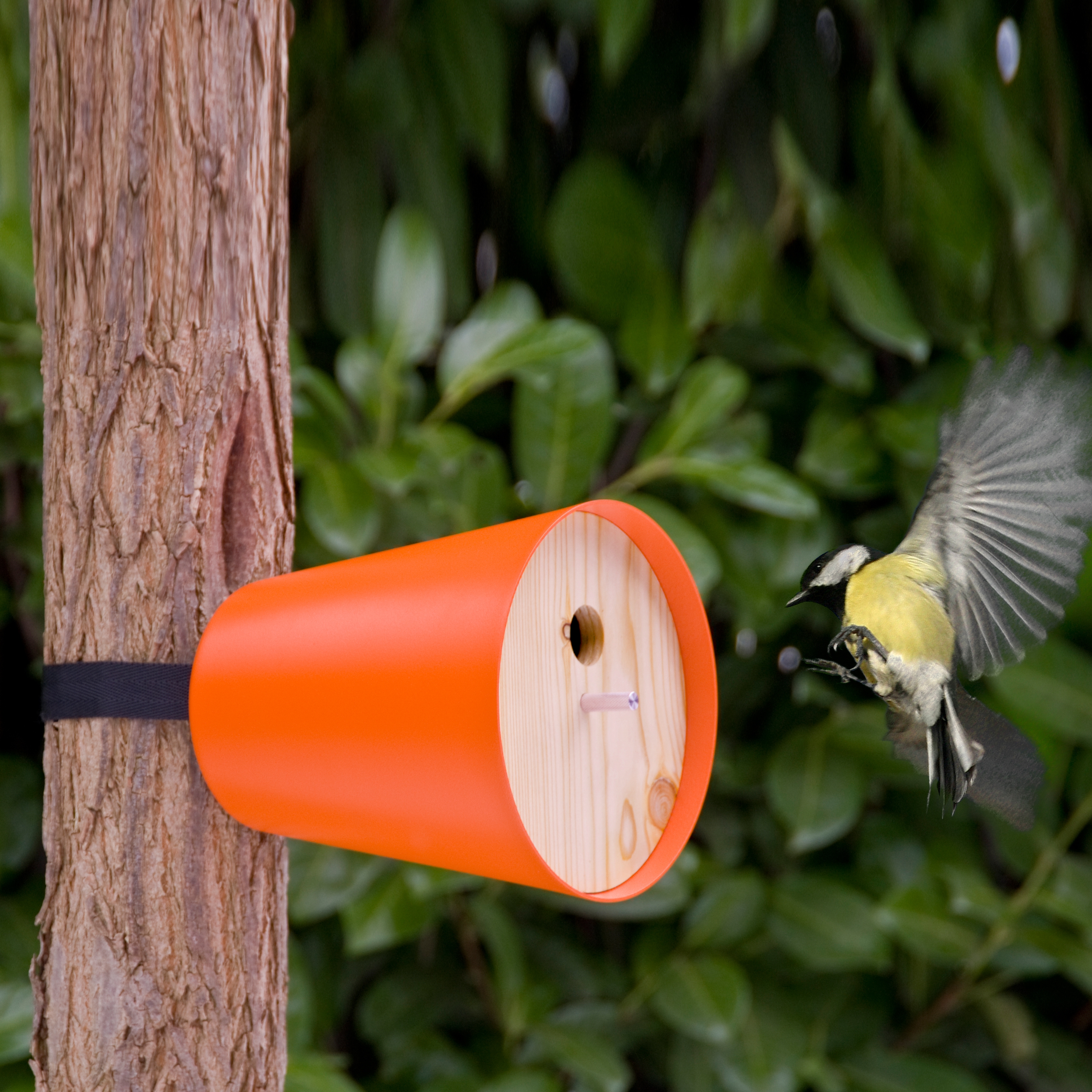 Afficher le produit piepshow home du fabricant Radius Design