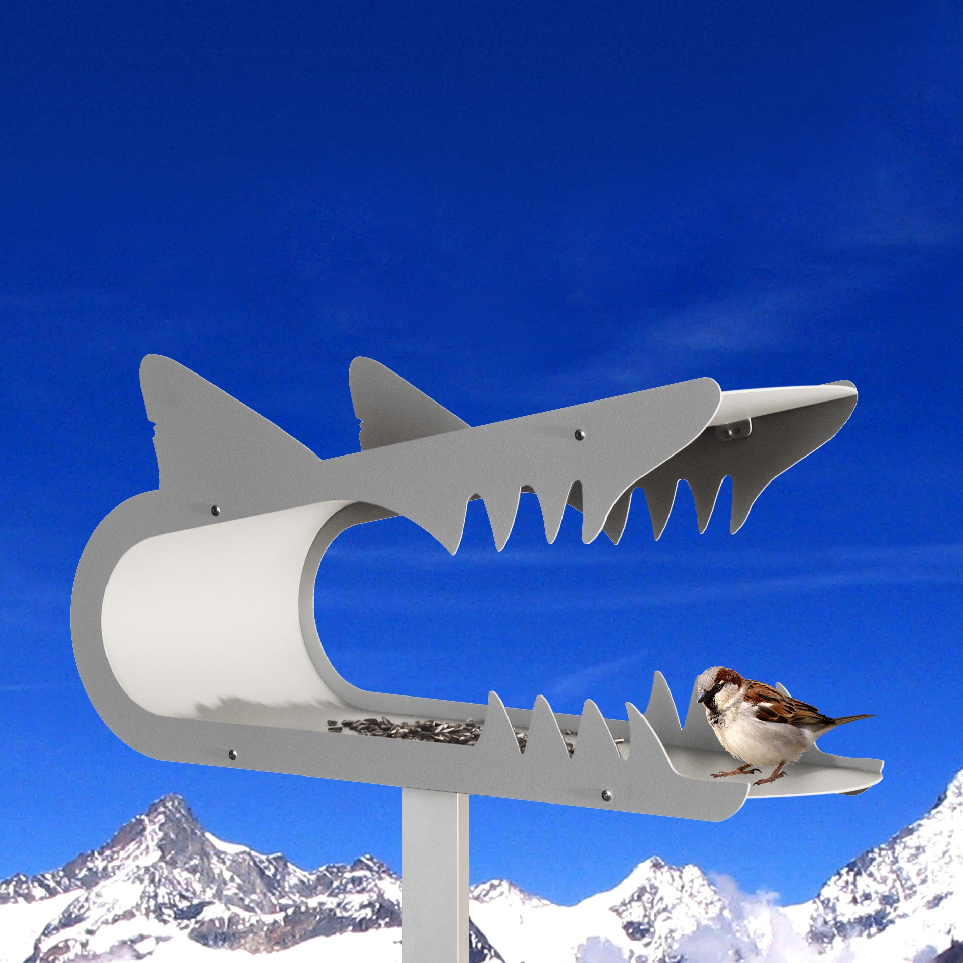 piepshow shark