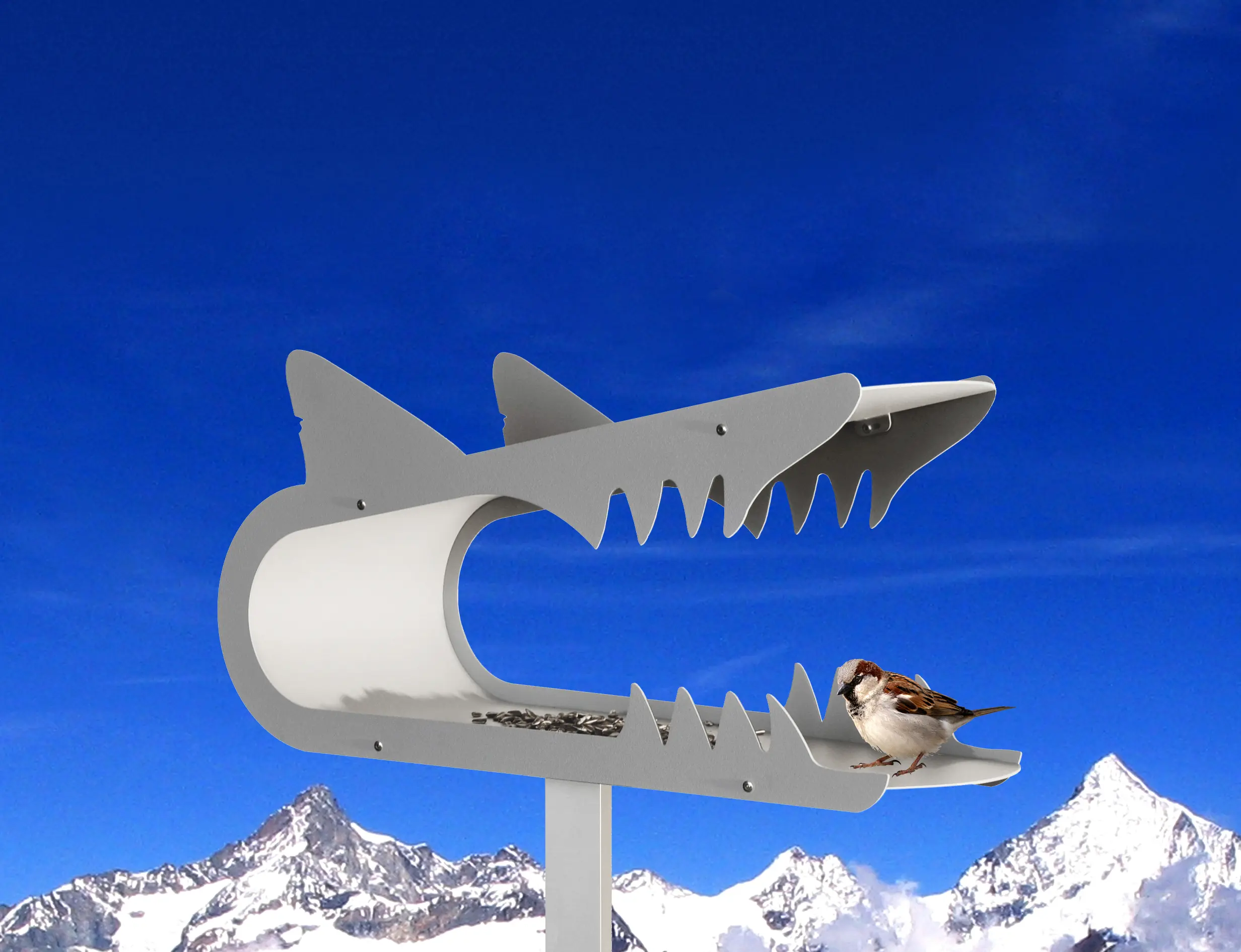 Radius Design - piepshow shark