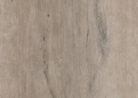 Vorwerk - Used