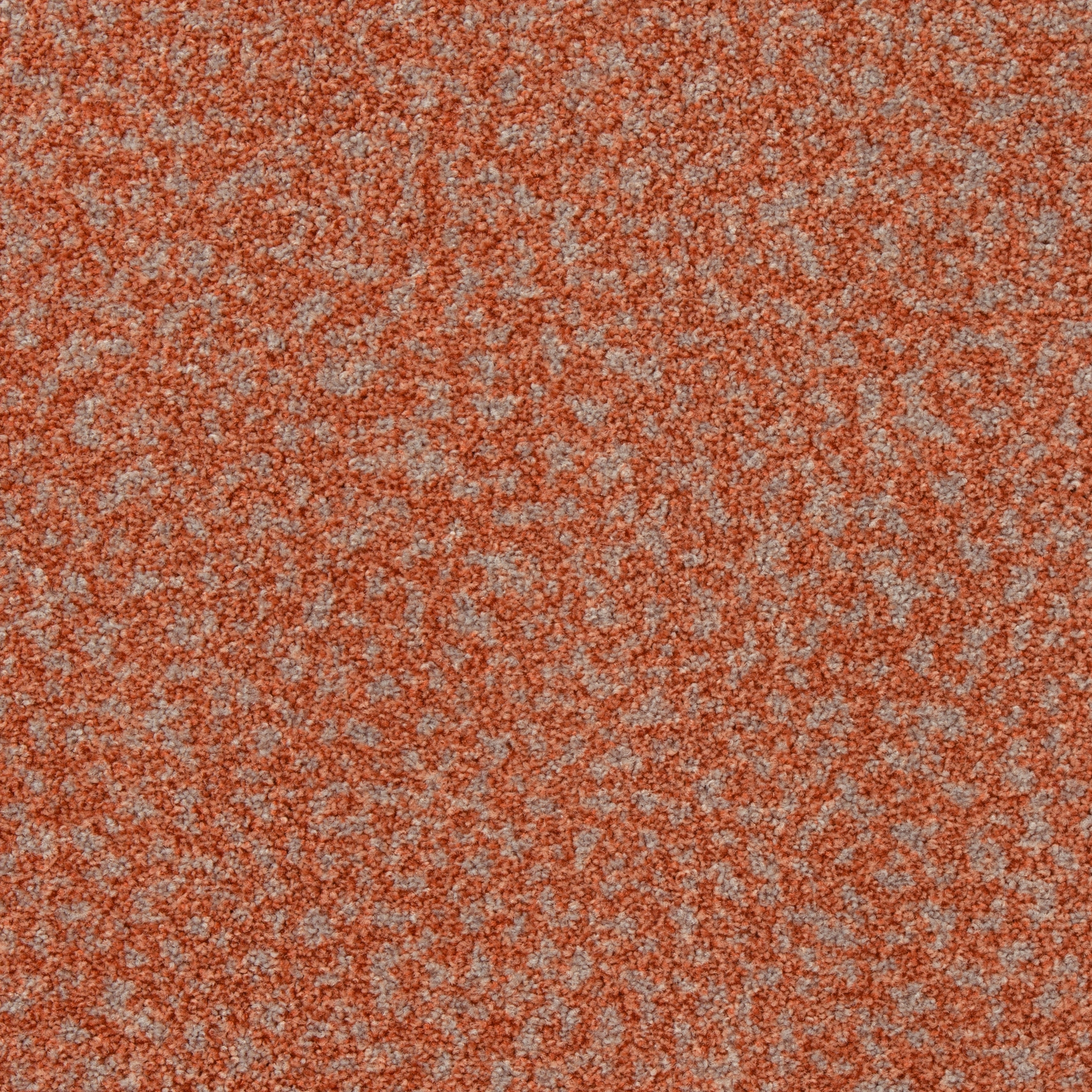 Mostrar el producto Superior 1011 del fabricante Vorwerk