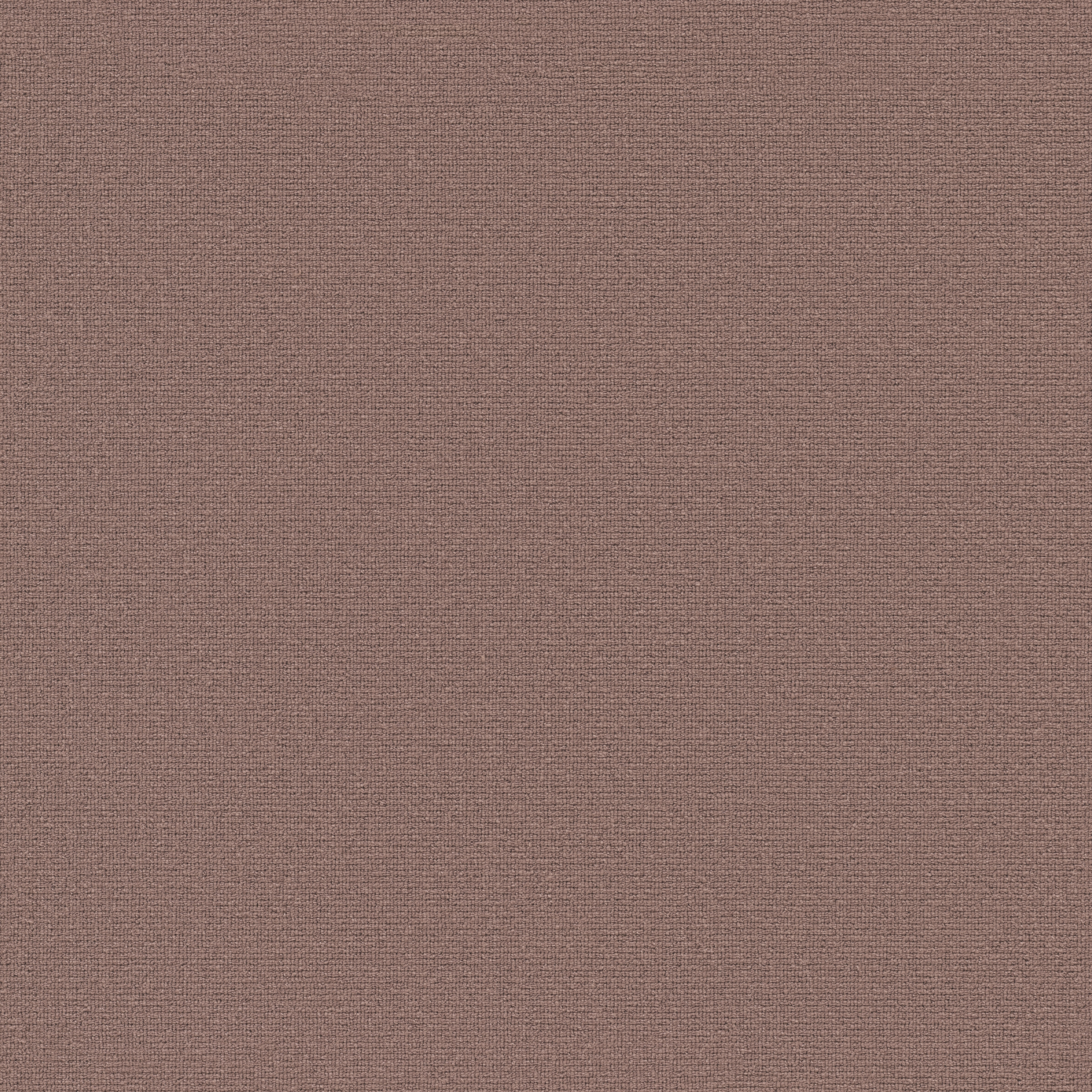 Mostrar el producto Essential 1031 - 1N22 del fabricante Vorwerk