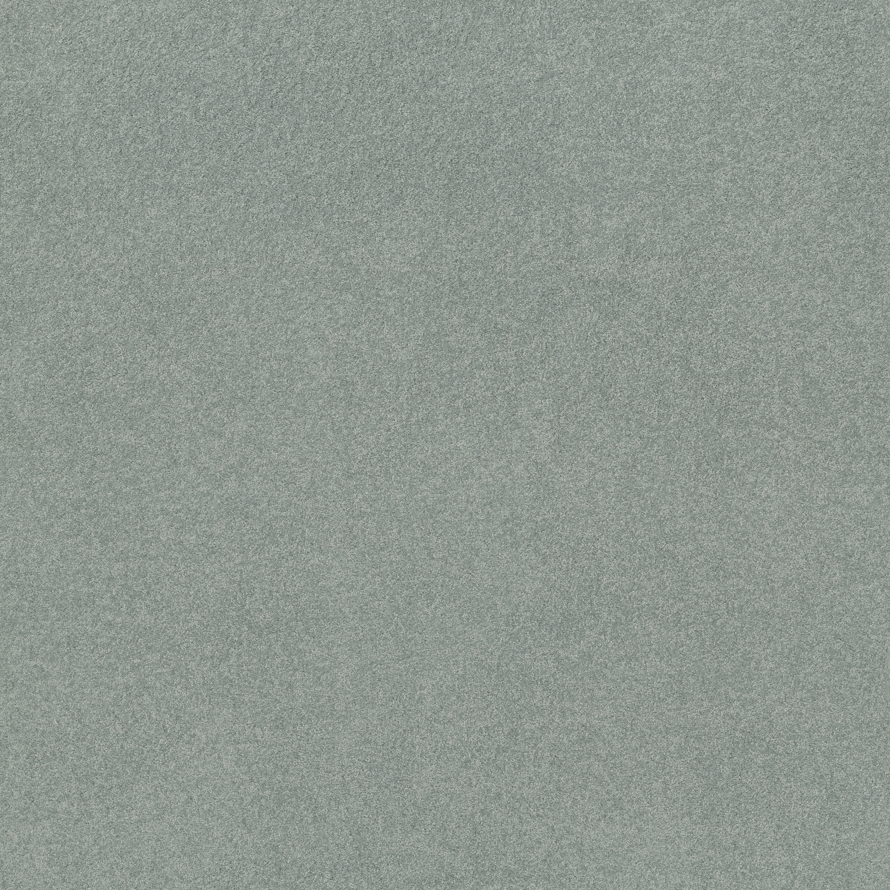 Mostrar el producto Superior 1065 - 4G79 del fabricante Vorwerk