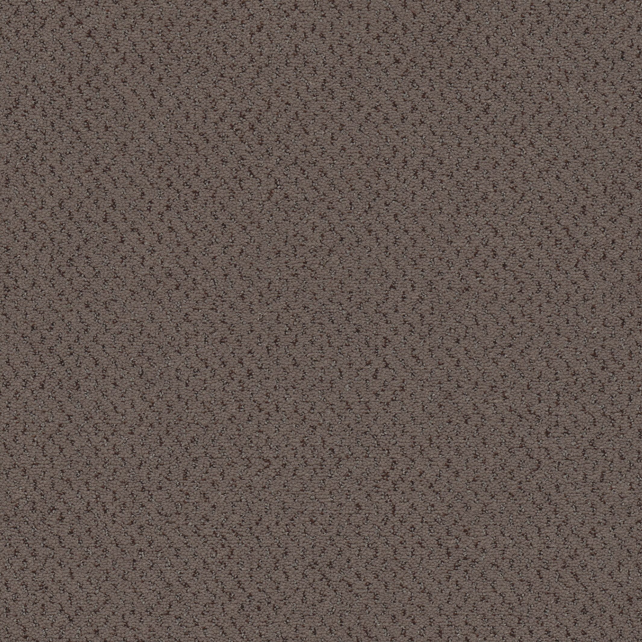 Superior 1071 - 5Y29