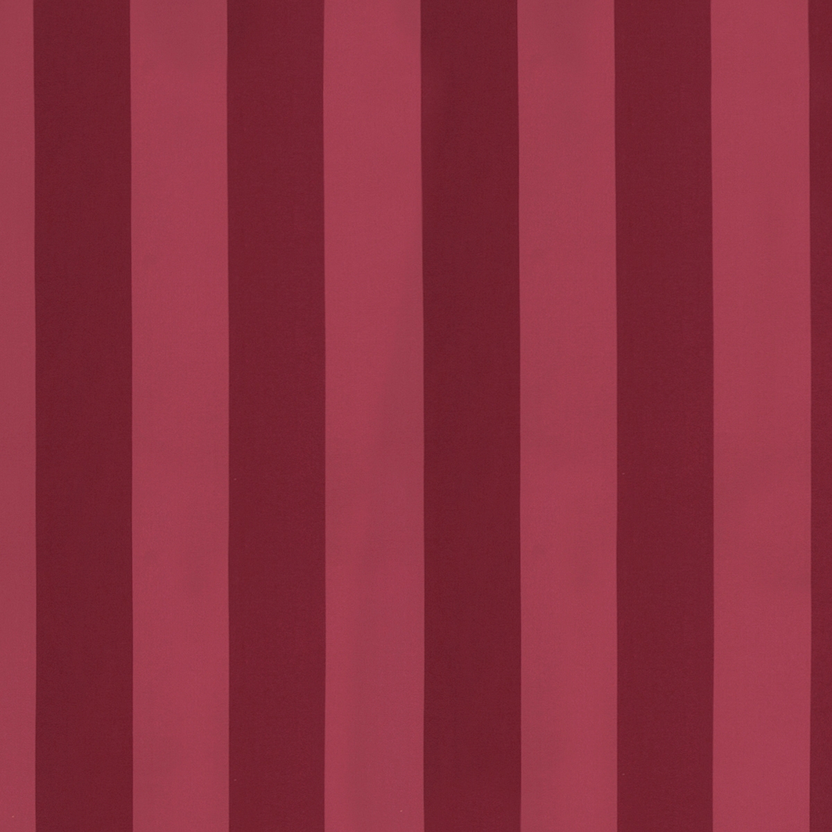 Solice Stripe 355