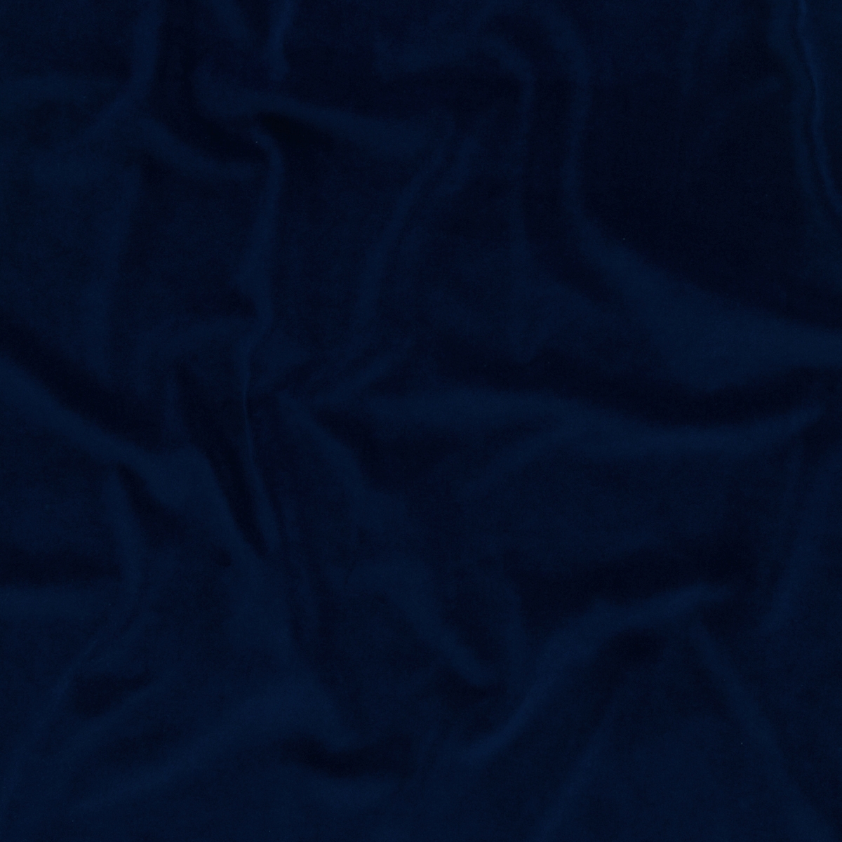 Score 559