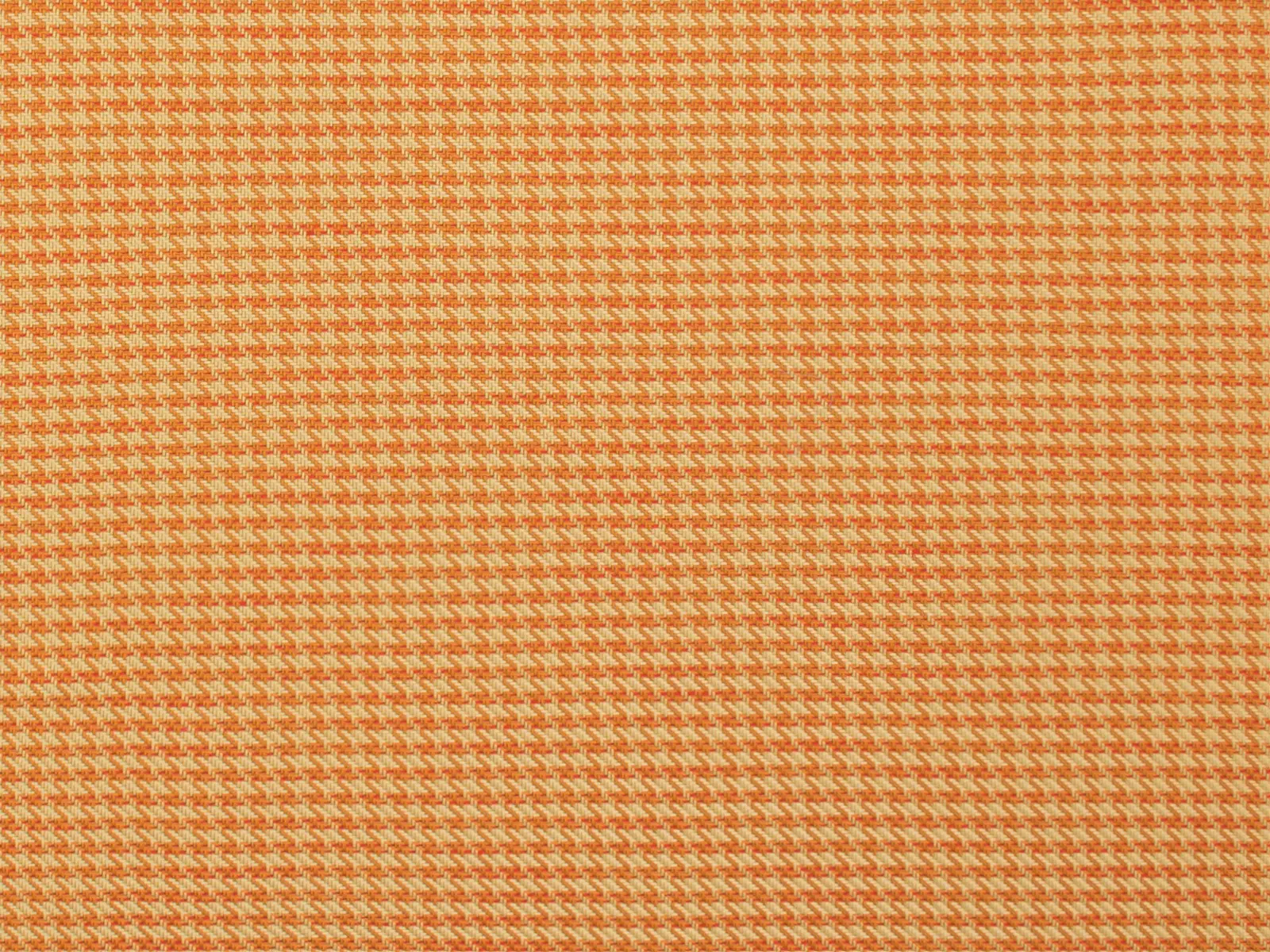 Zimmer + Rohde - Pepito 213