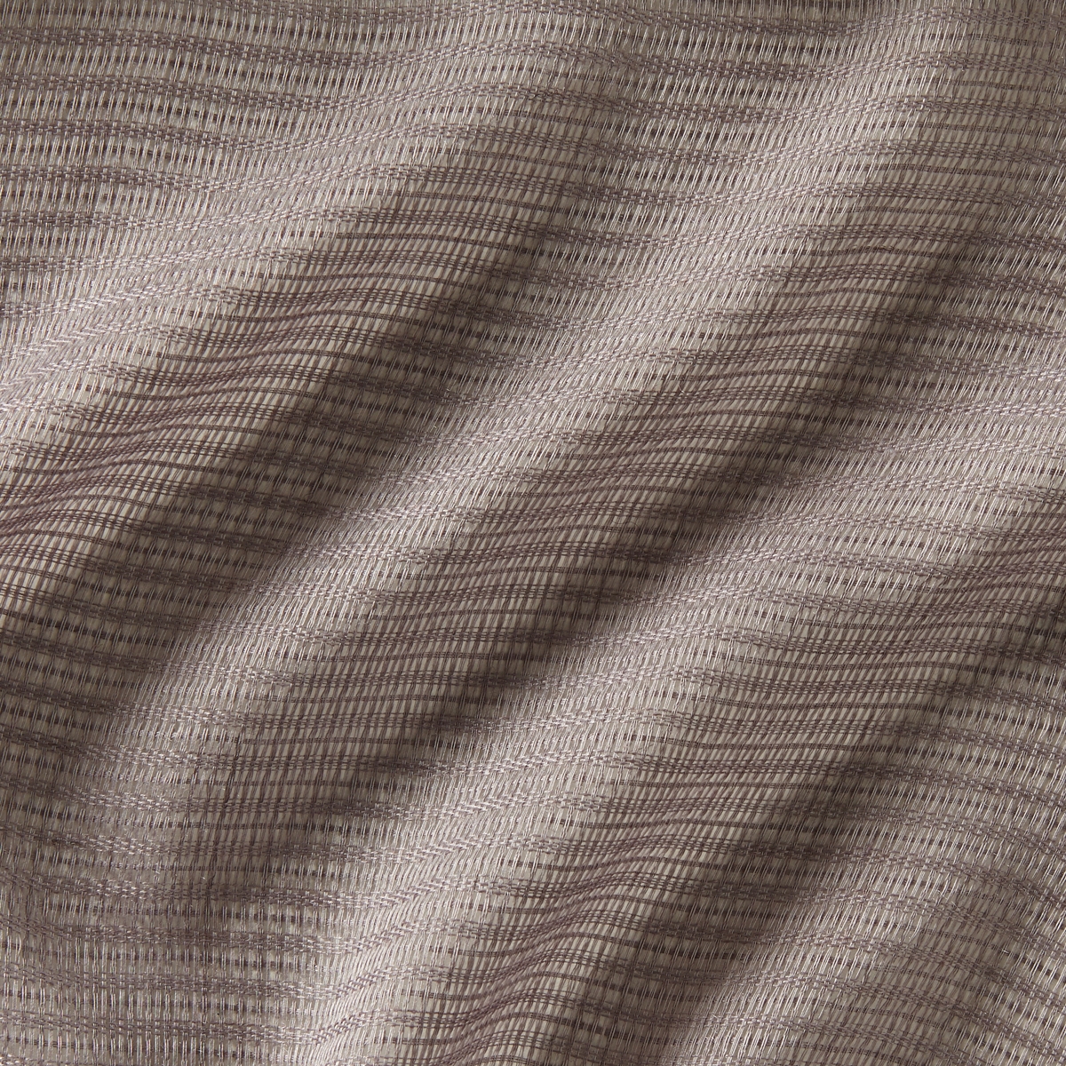 Sorbet 986