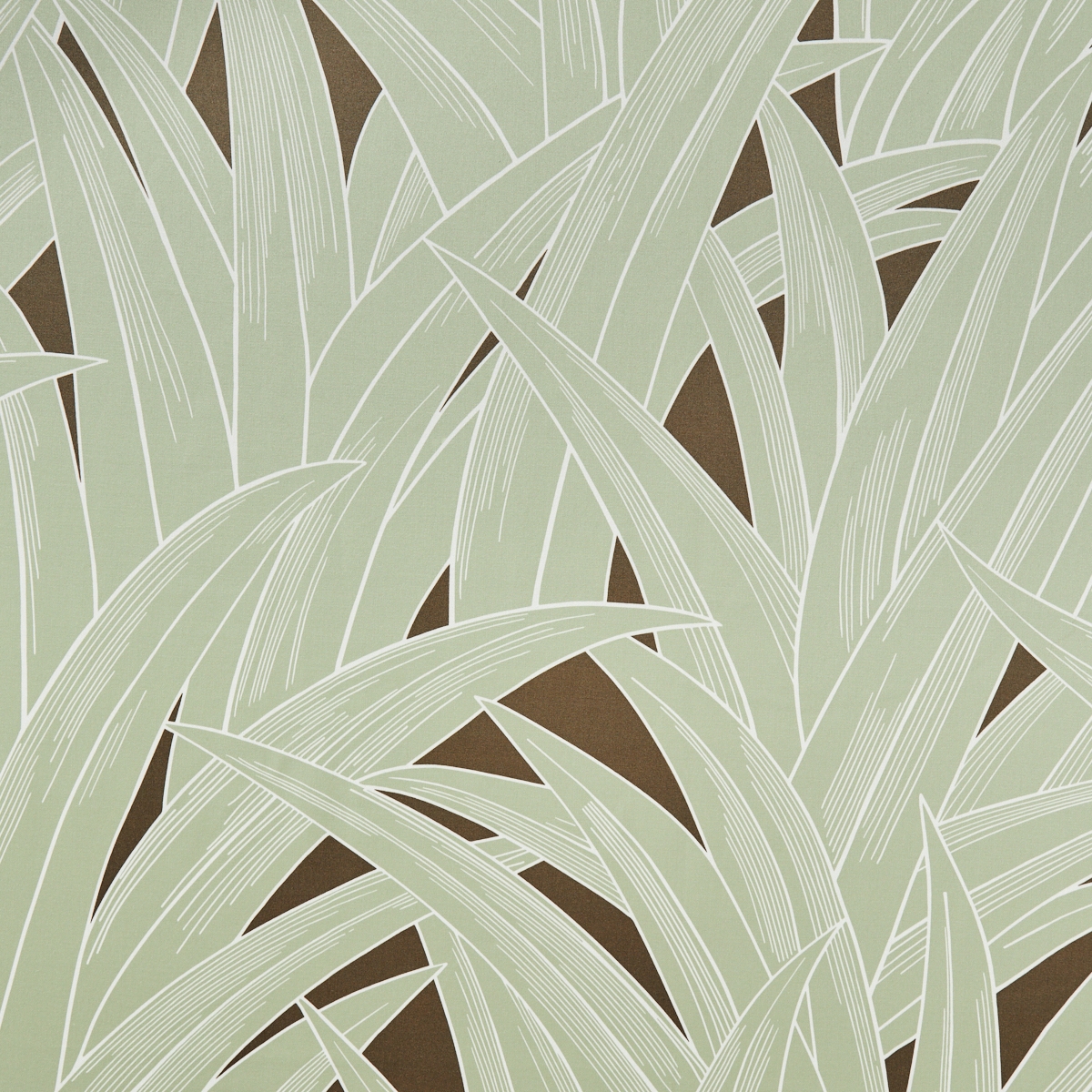 Palmhouse 783
