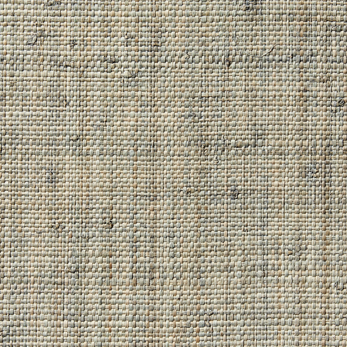 Raffia Weave 673