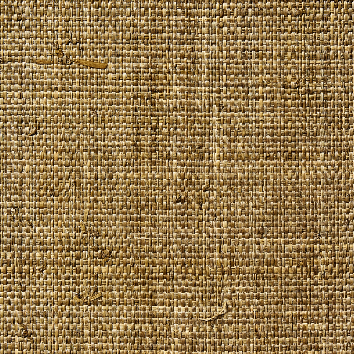 Raffia Weave 716