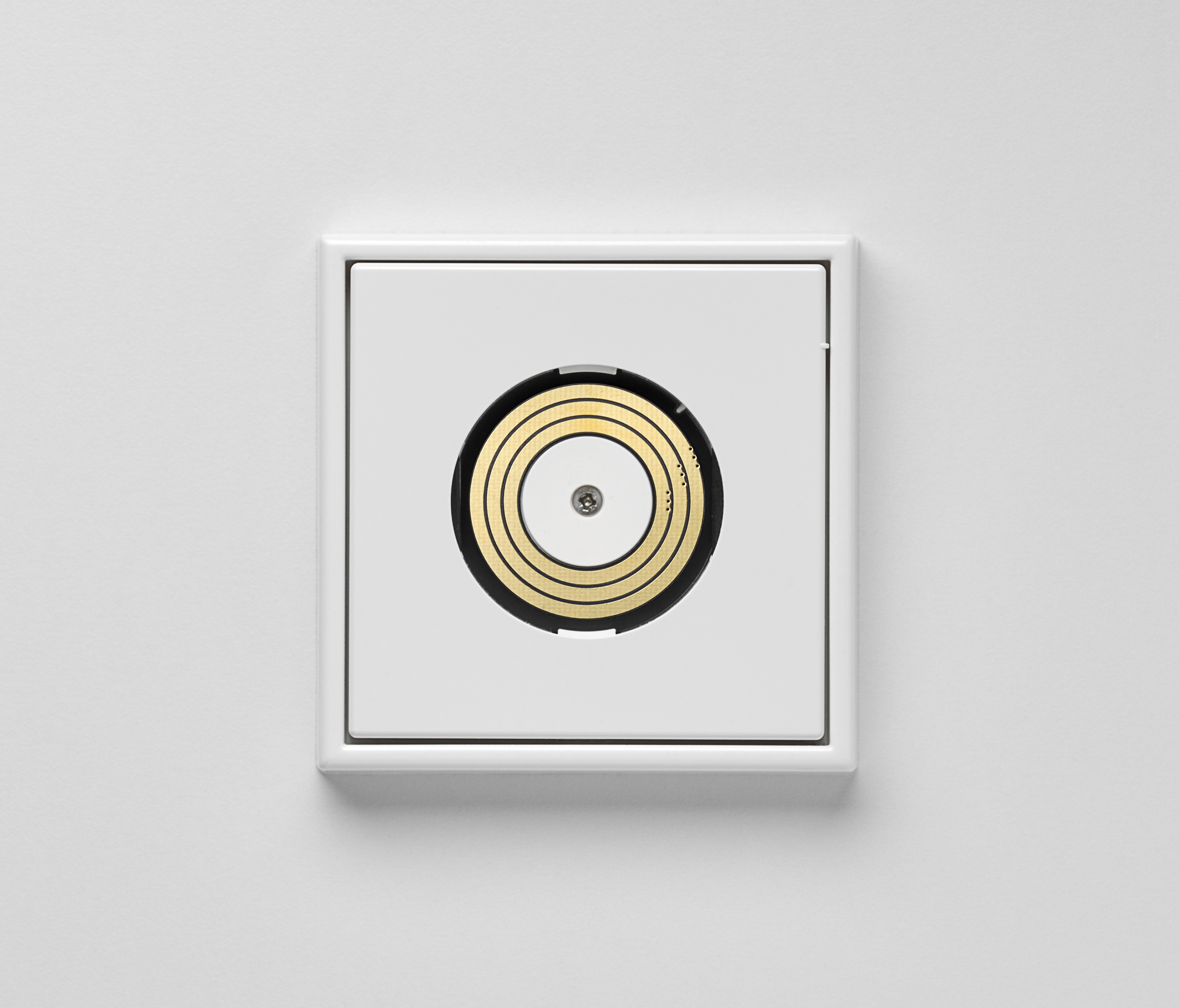Display product Plug & Light |  LS 990 Ligtht socket white from manufacturer JUNG