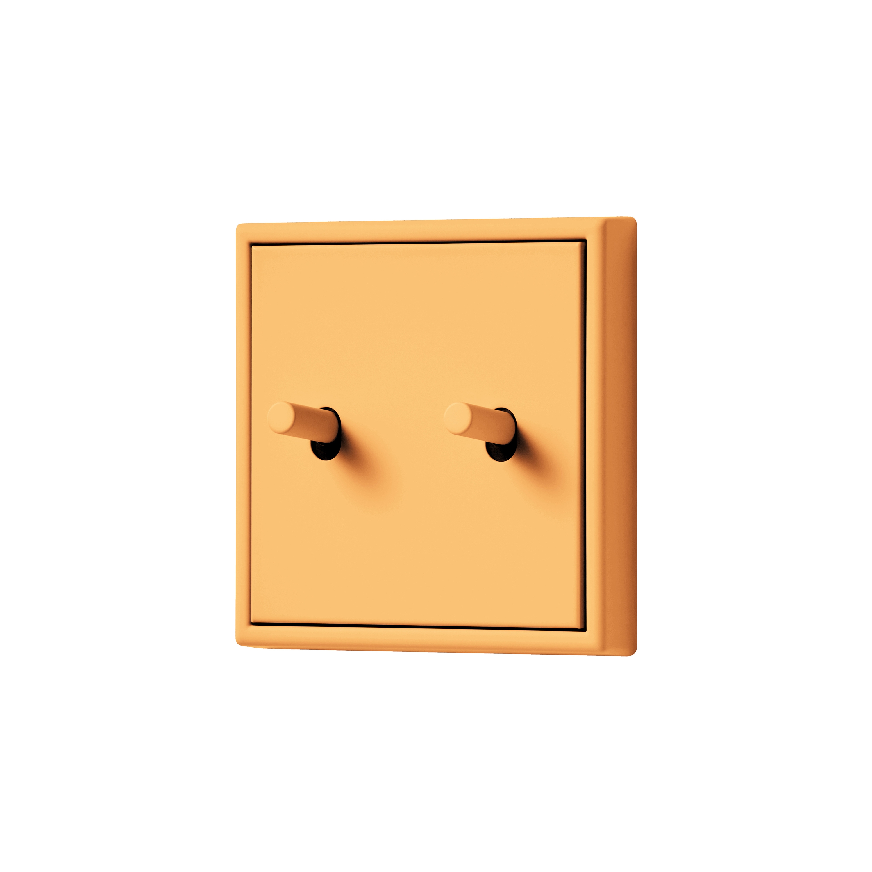 LS 1912 | SWITCH IN STAINLESS STEEL - Toggle switches from JUNG