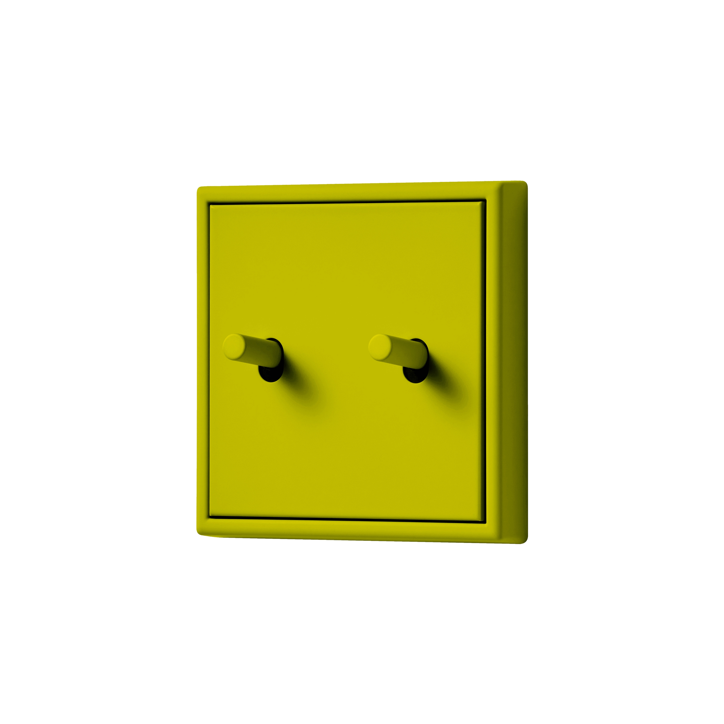 LS 1912 | SWITCH IN STAINLESS STEEL - Toggle switches from JUNG