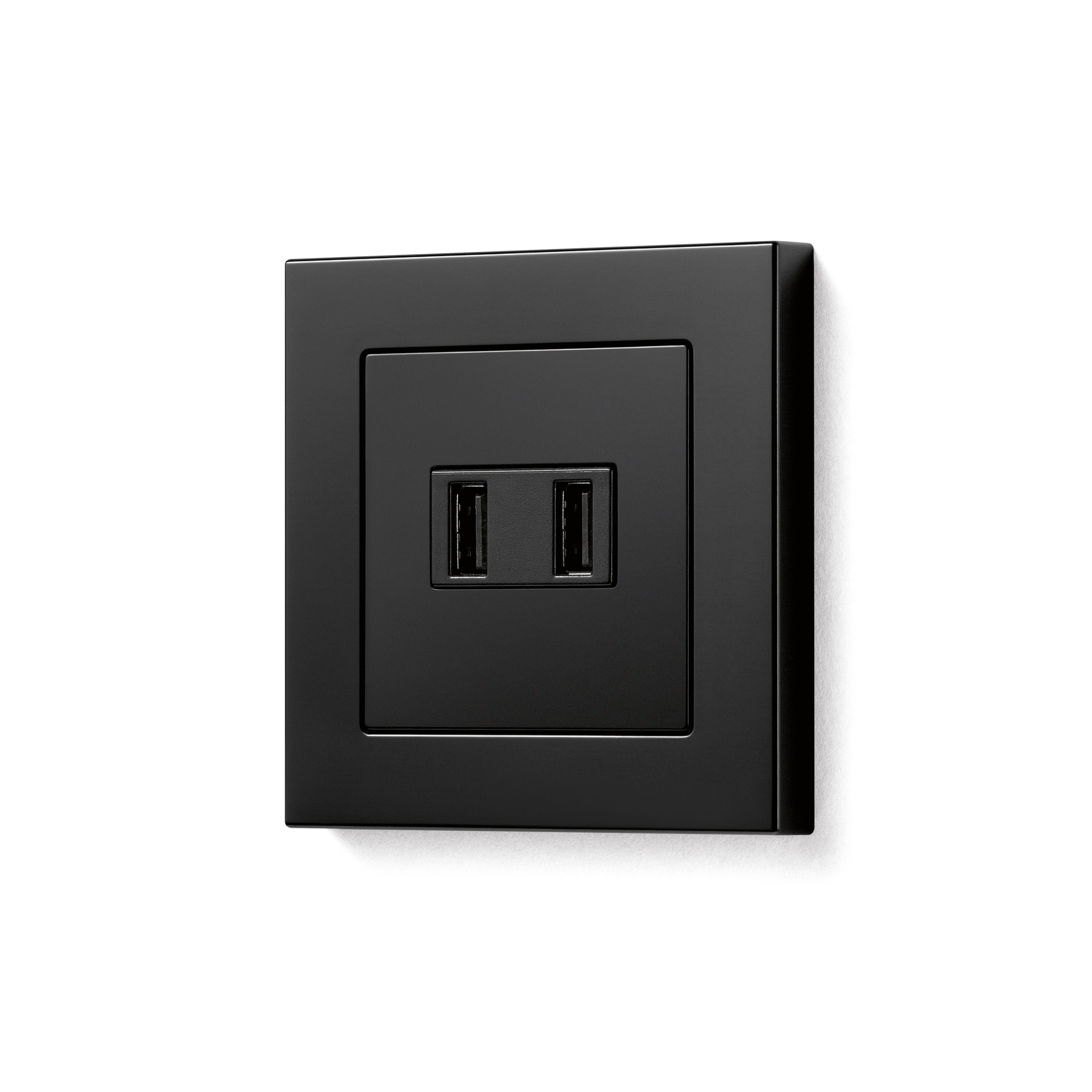 Mostra il prodotto A 550 | USB Charger del produttore JUNG