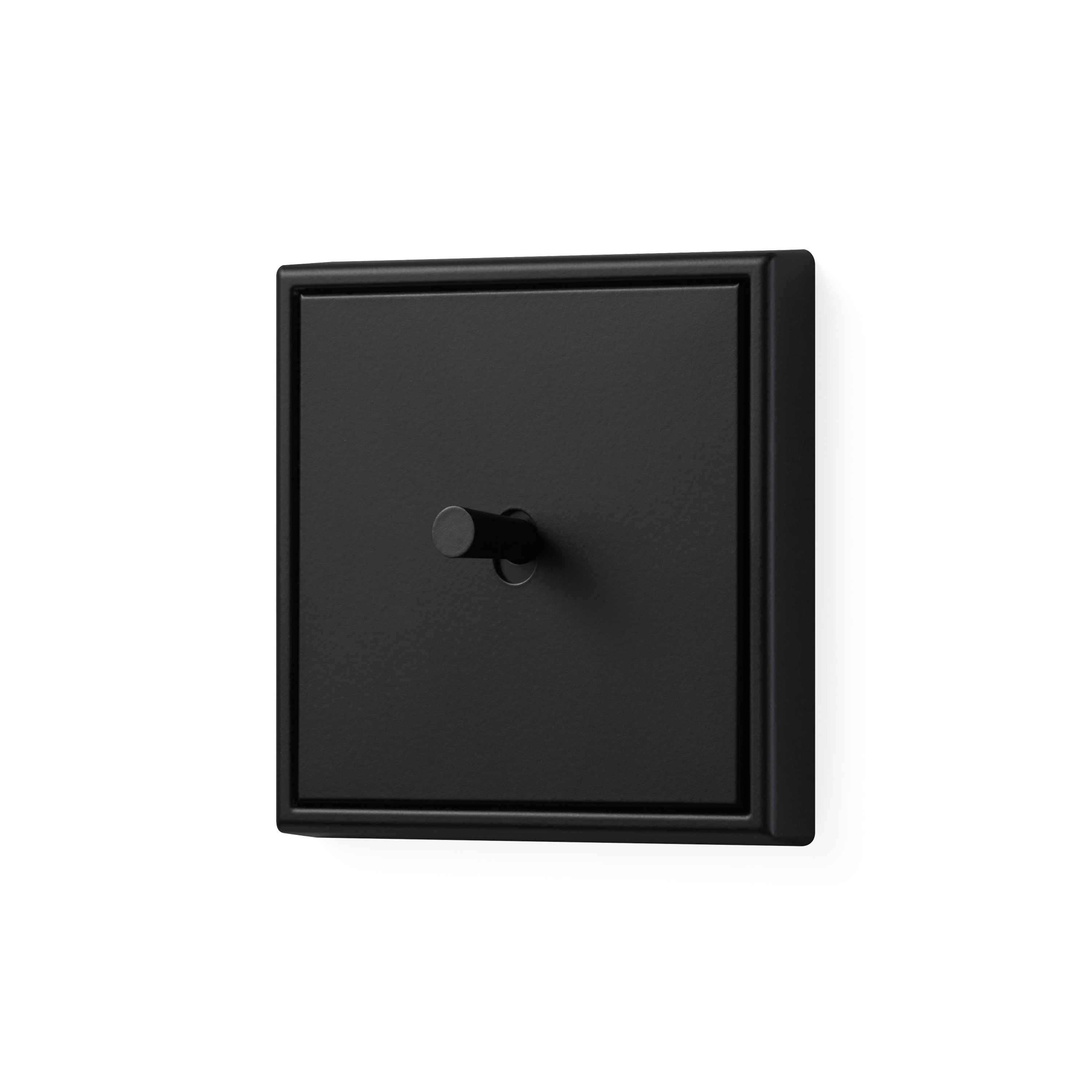 Display product LS 1912 | Switch in matt graphite black from manufacturer JUNG
