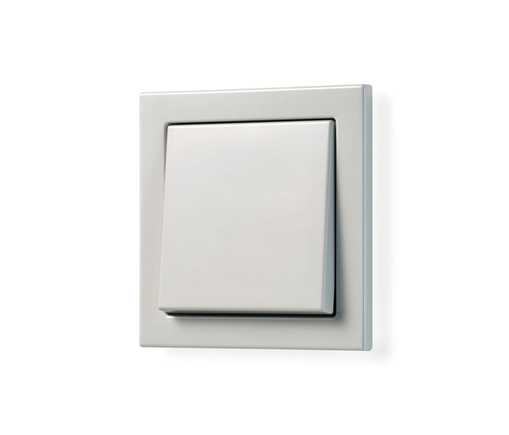 Jung ES2990 Bascule Pour Interrupteur/Bouton Poussoir - Design Métal Élégant