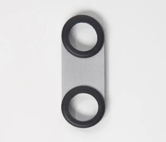 van Esch - Spring B1