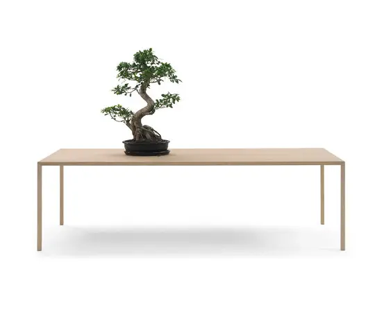 Arco - Slim