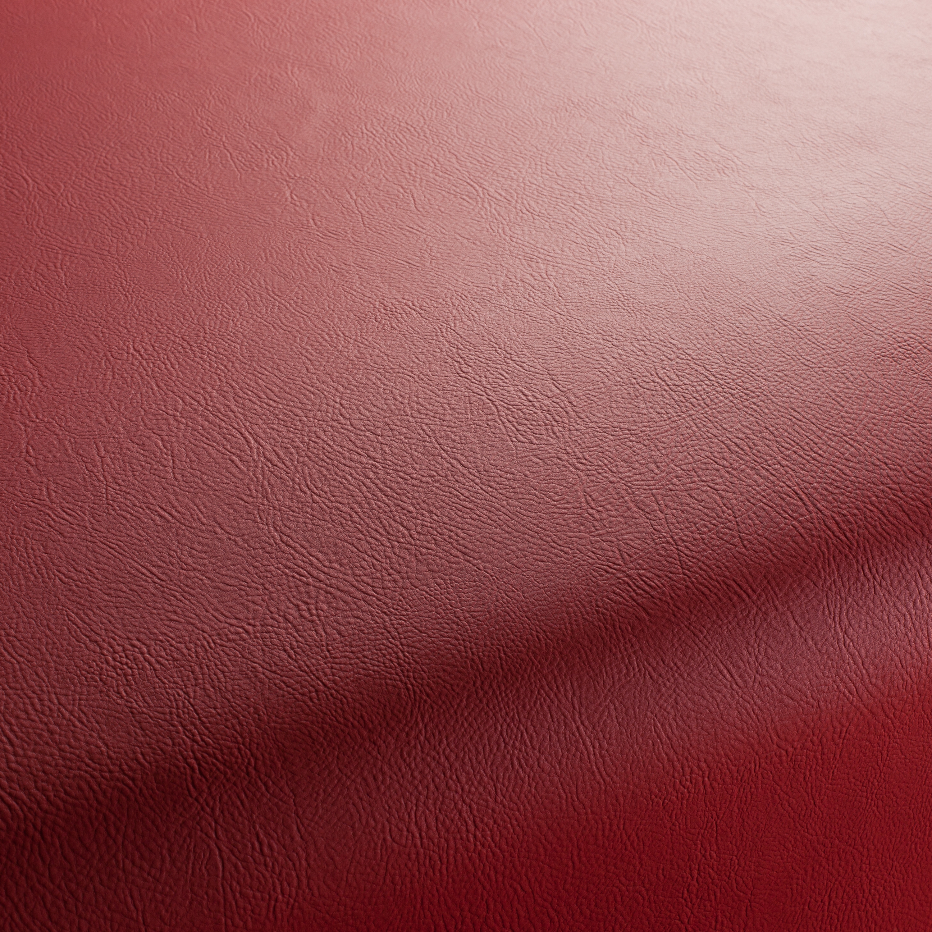 Mostrar el producto GAUCHO 1-1142-114 del fabricante JAB Anstoetz