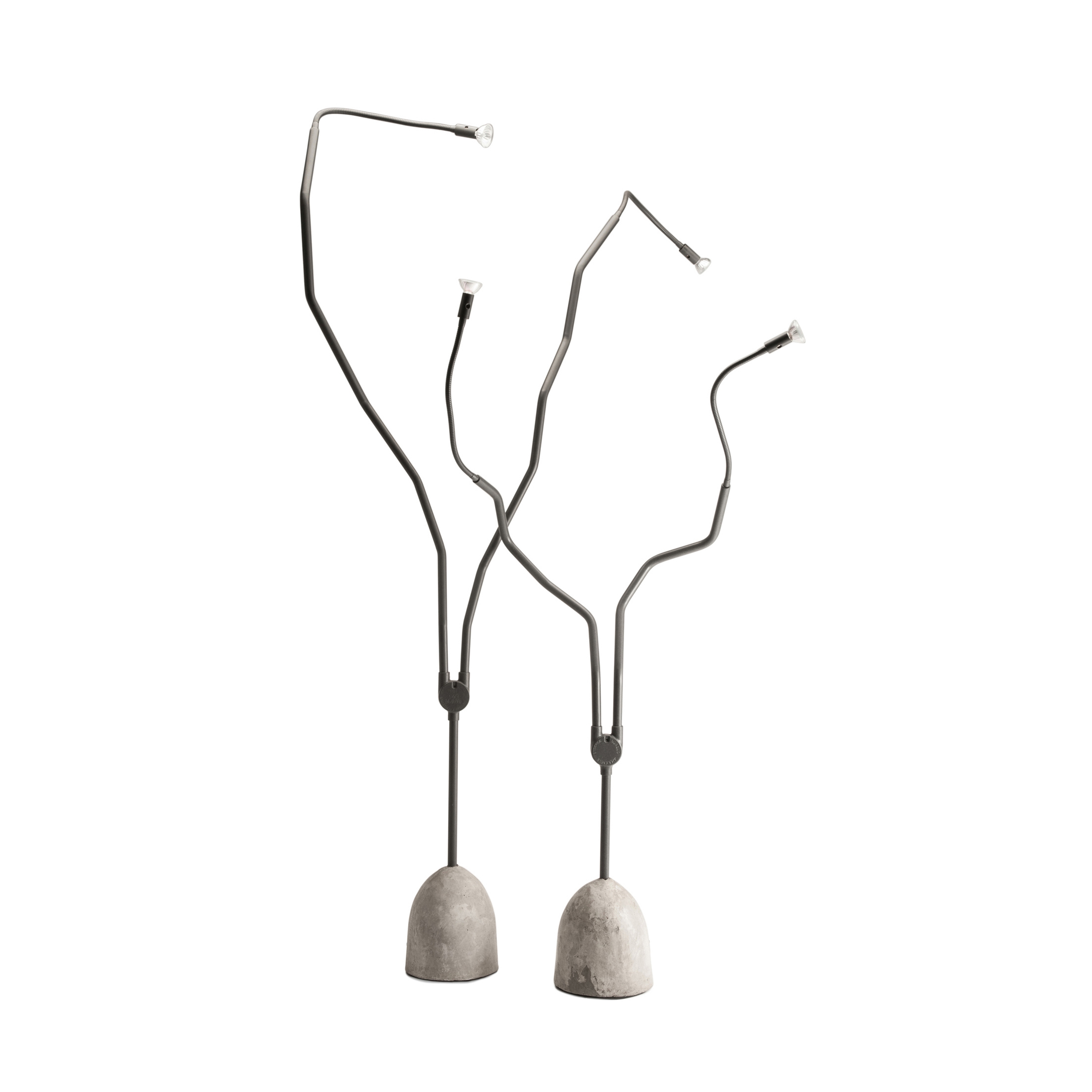 Display product Tree Light Lamp from manufacturer ZEUS