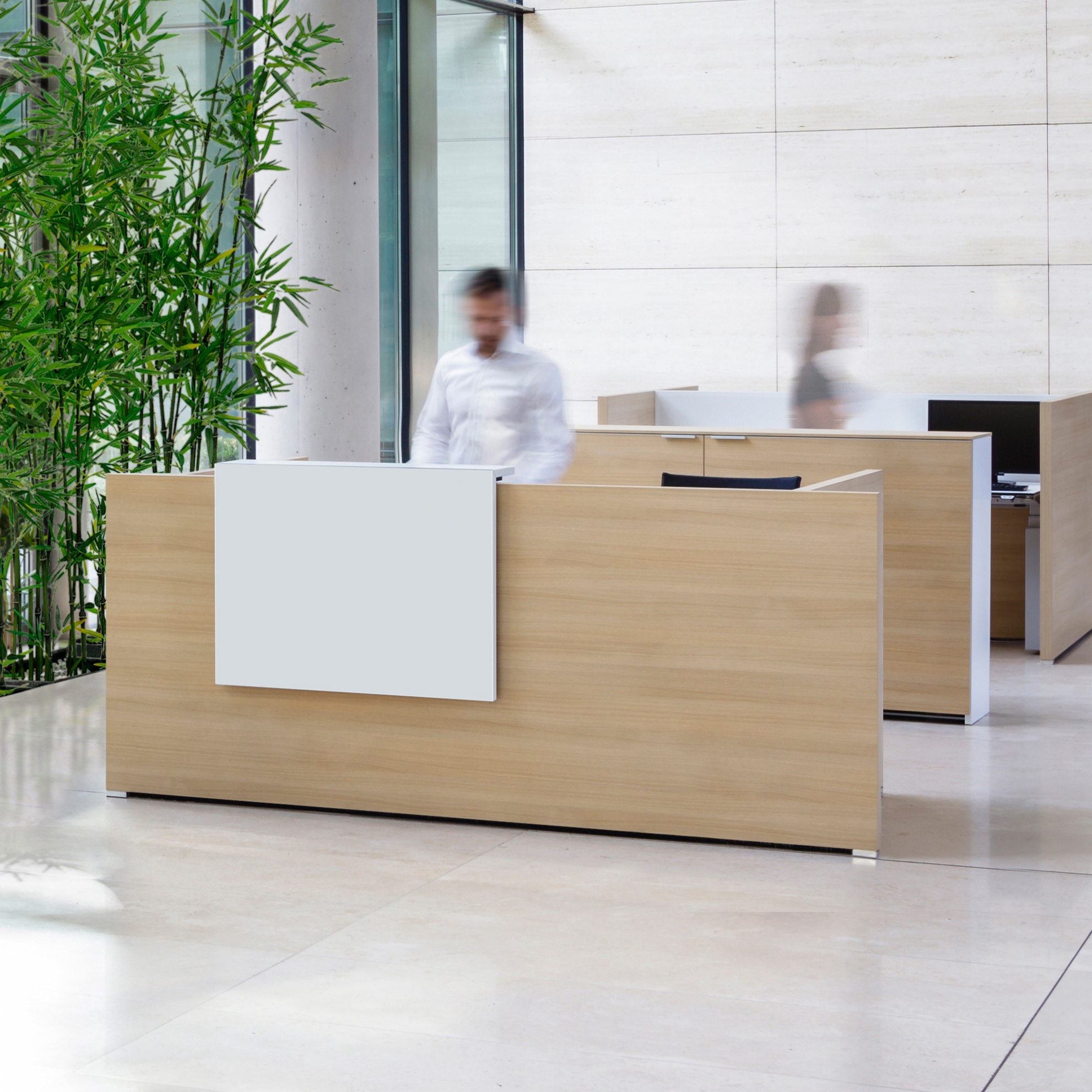 Display product Conclusion | reception from manufacturer VARIO
