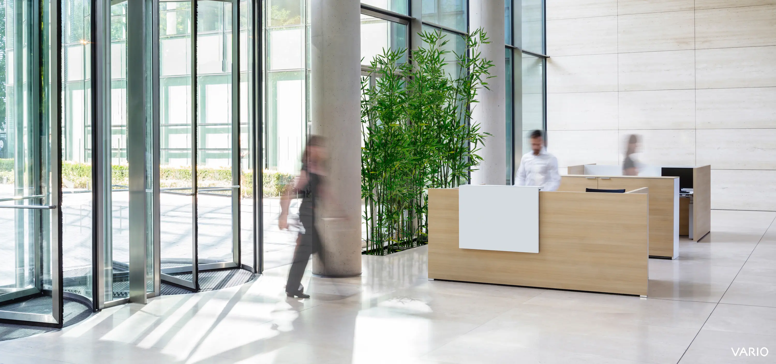 VARIO - Conclusion | reception