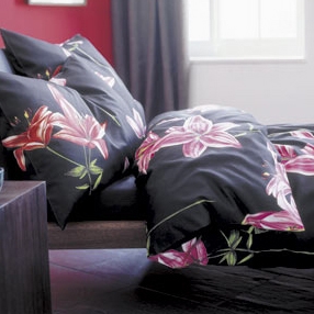 Mostrar el producto Elena del fabricante Schlossberg Textil