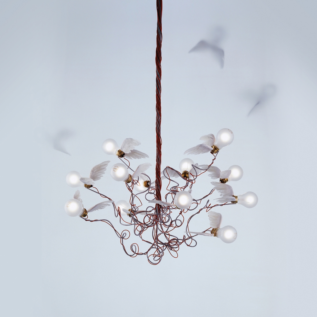 Display product Birds | Birdie LED from manufacturer Ingo Maurer