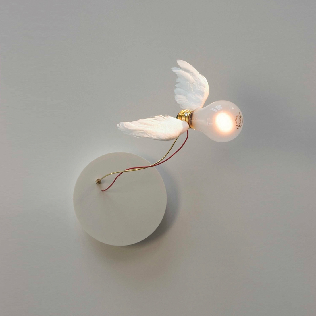 Display product Lucellino NT from manufacturer Ingo Maurer