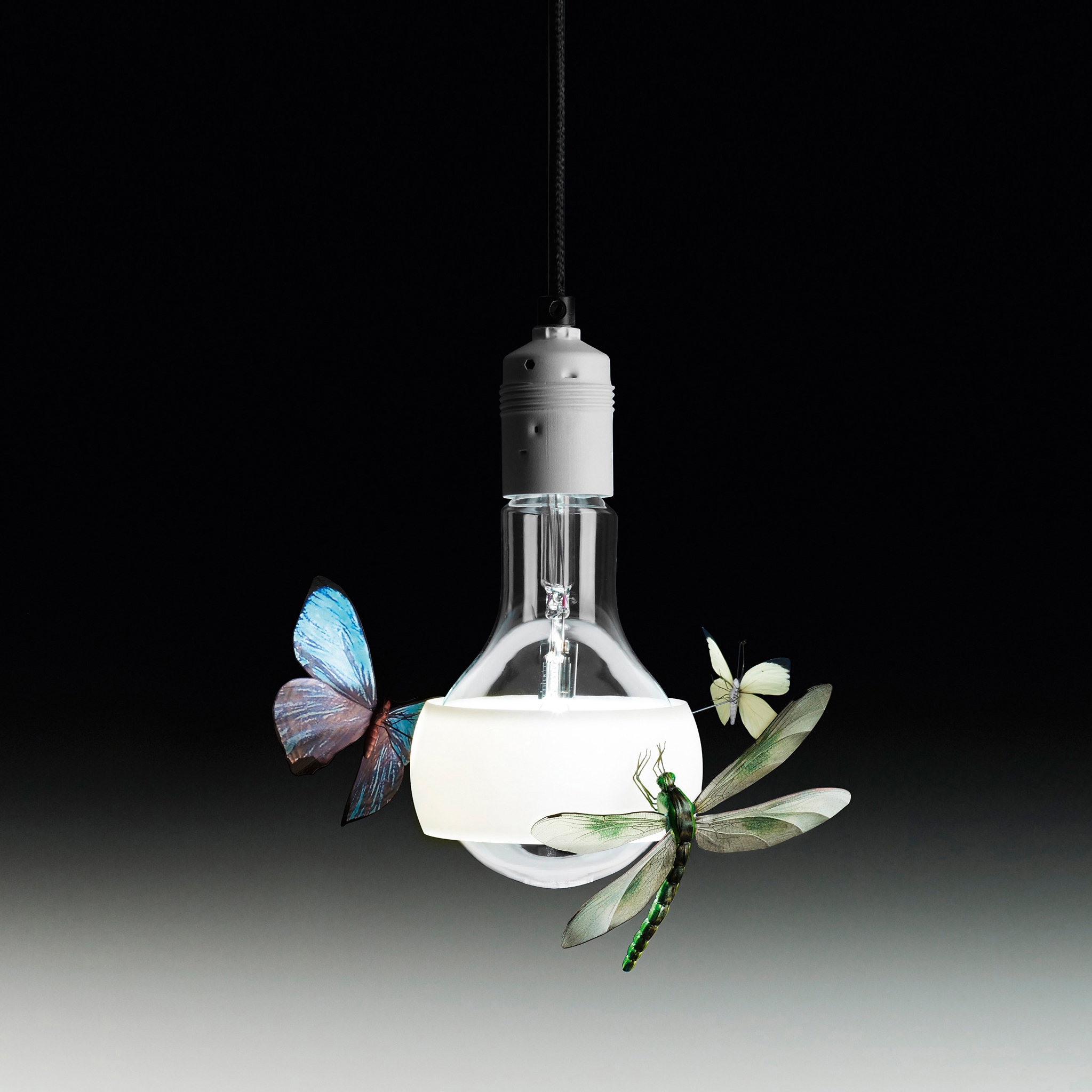 Afficher le produit Johnny B. Butterfly du fabricant Ingo Maurer